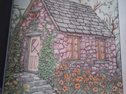 whatsapp bild 2025-01-24 um 13.54.27_c2714460